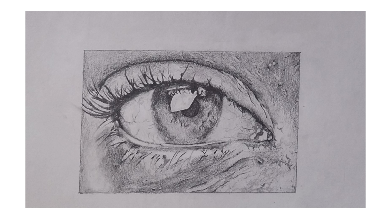 Perception by Rich bandile, monochromatic eye drawing