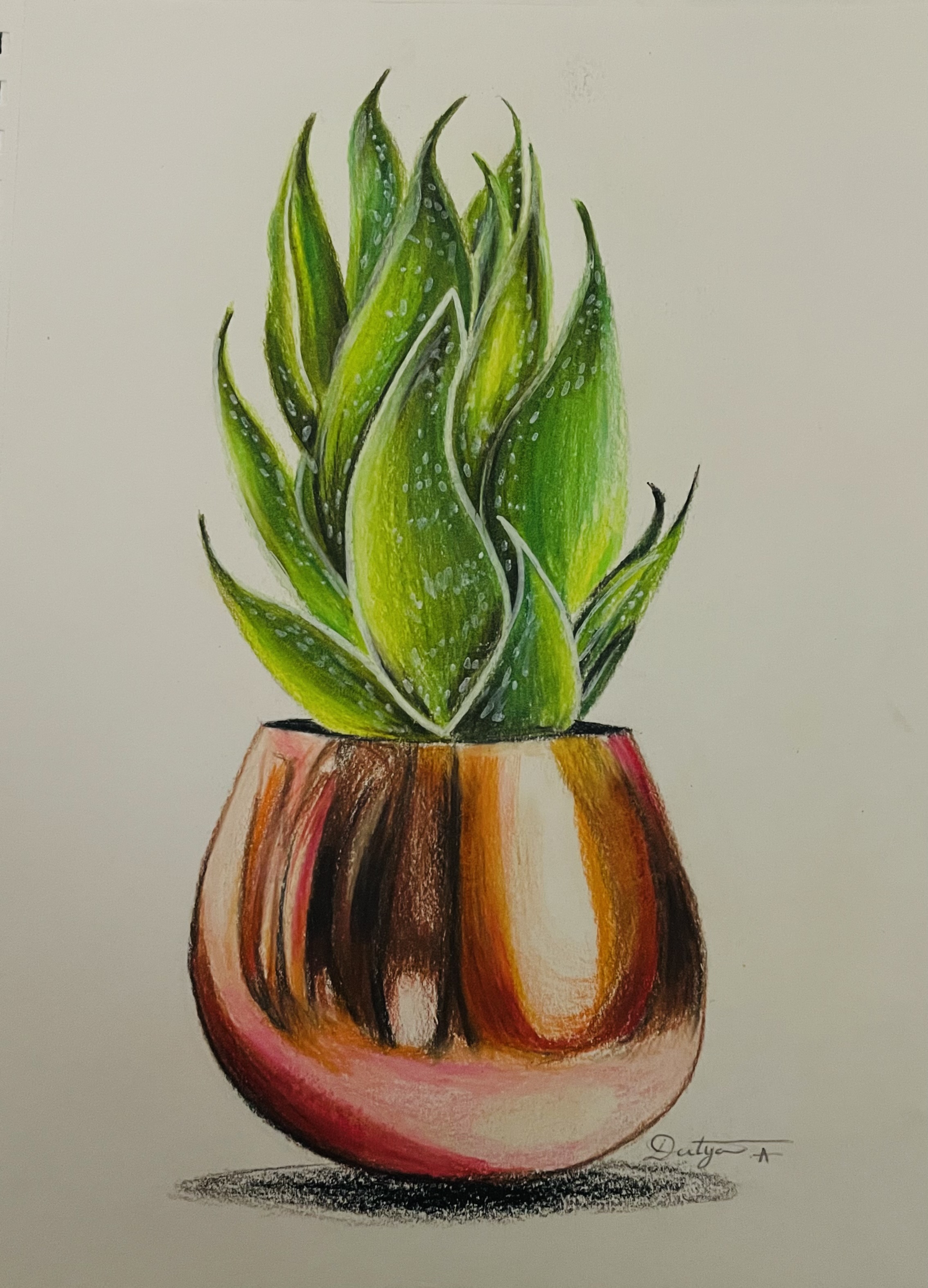 Aloe Vera Plant by Deetya Amuluru, a vibrant pencil colored drawing of a realistic aloe vera in a shiny copper pot