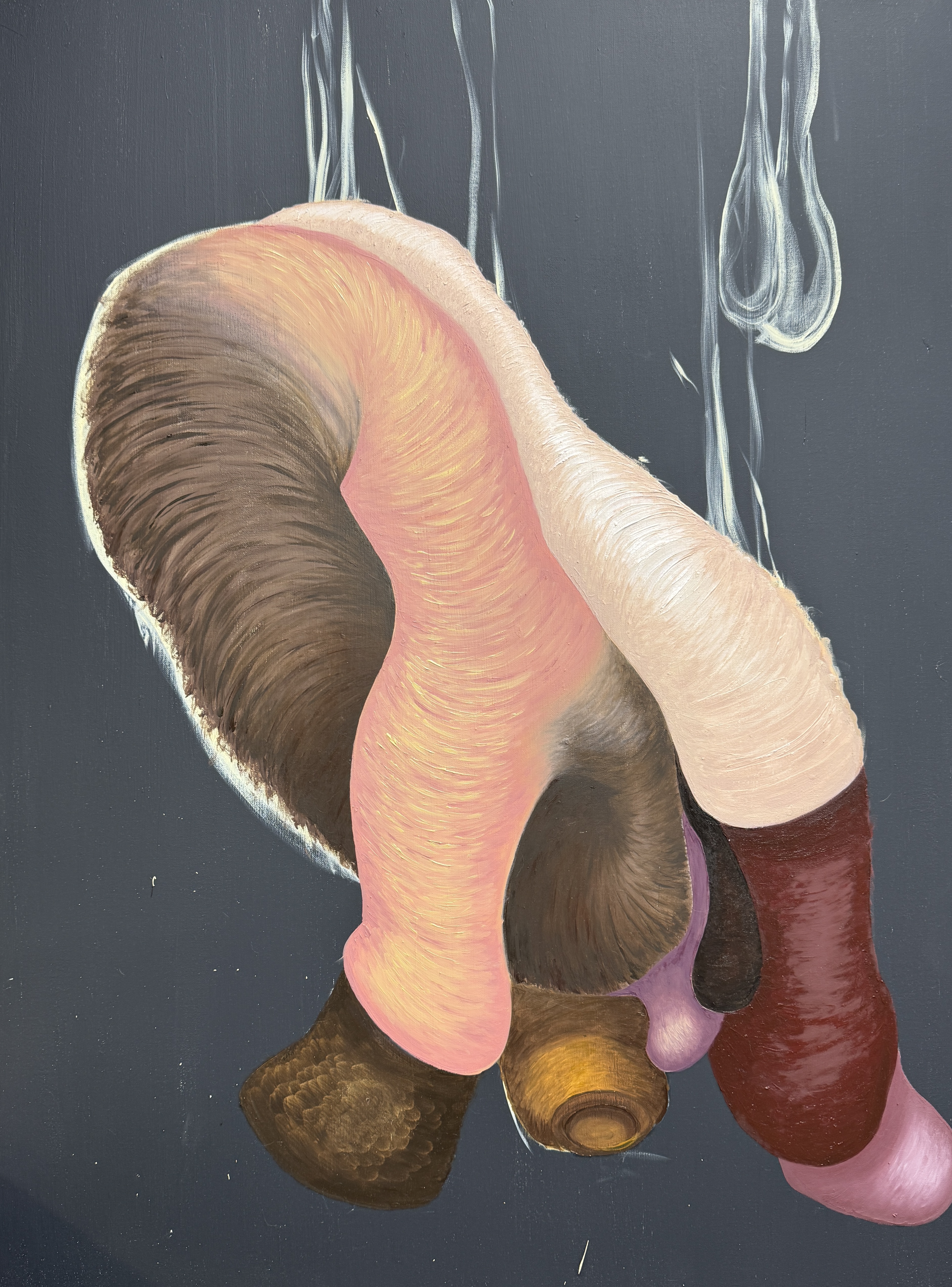 Parasite by Devan Ashton, abstract composition with organic forms in pink, brown, cream