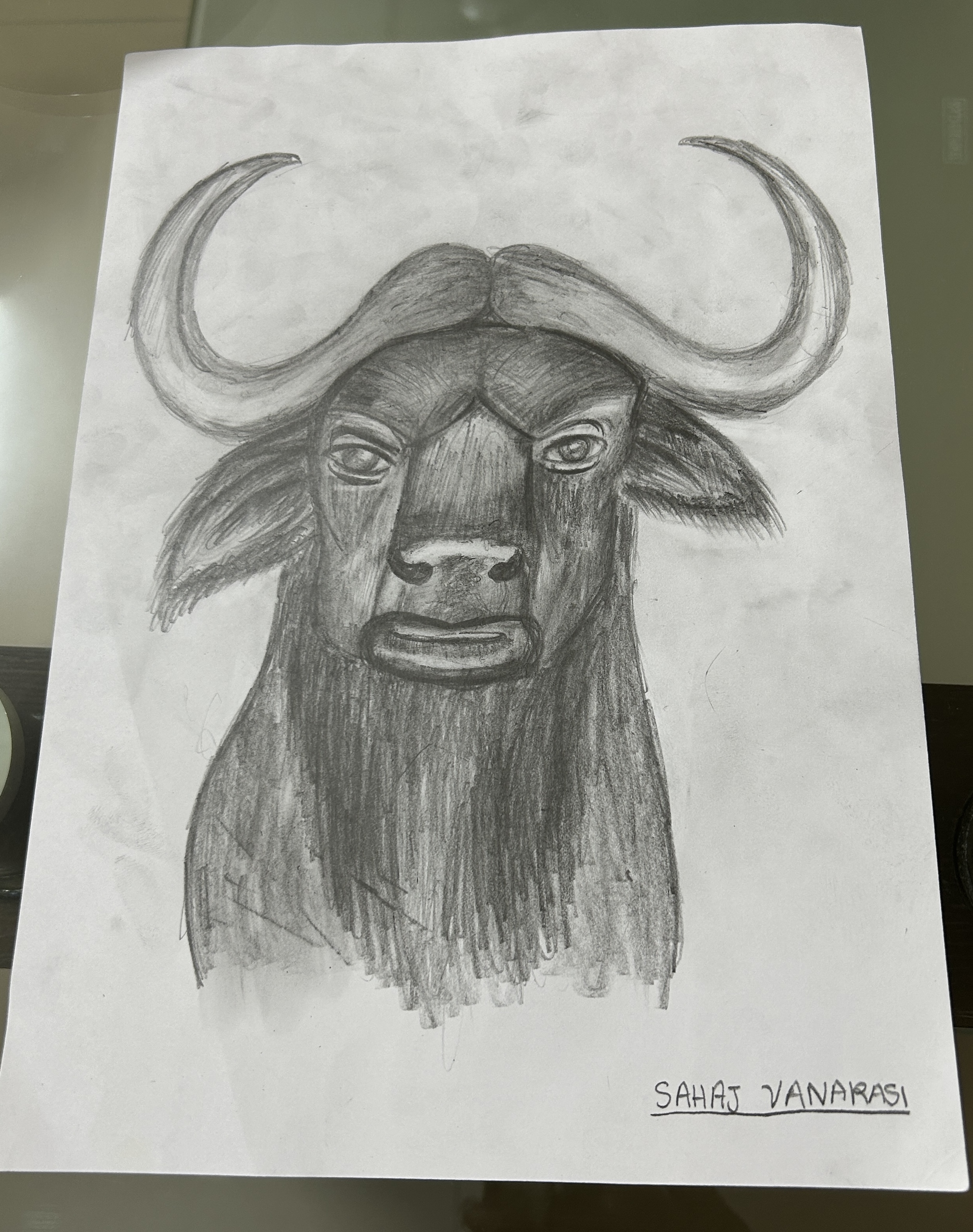 Silent Strength by Sahaj Vanarasi, graphite drawing of Cape buffalo