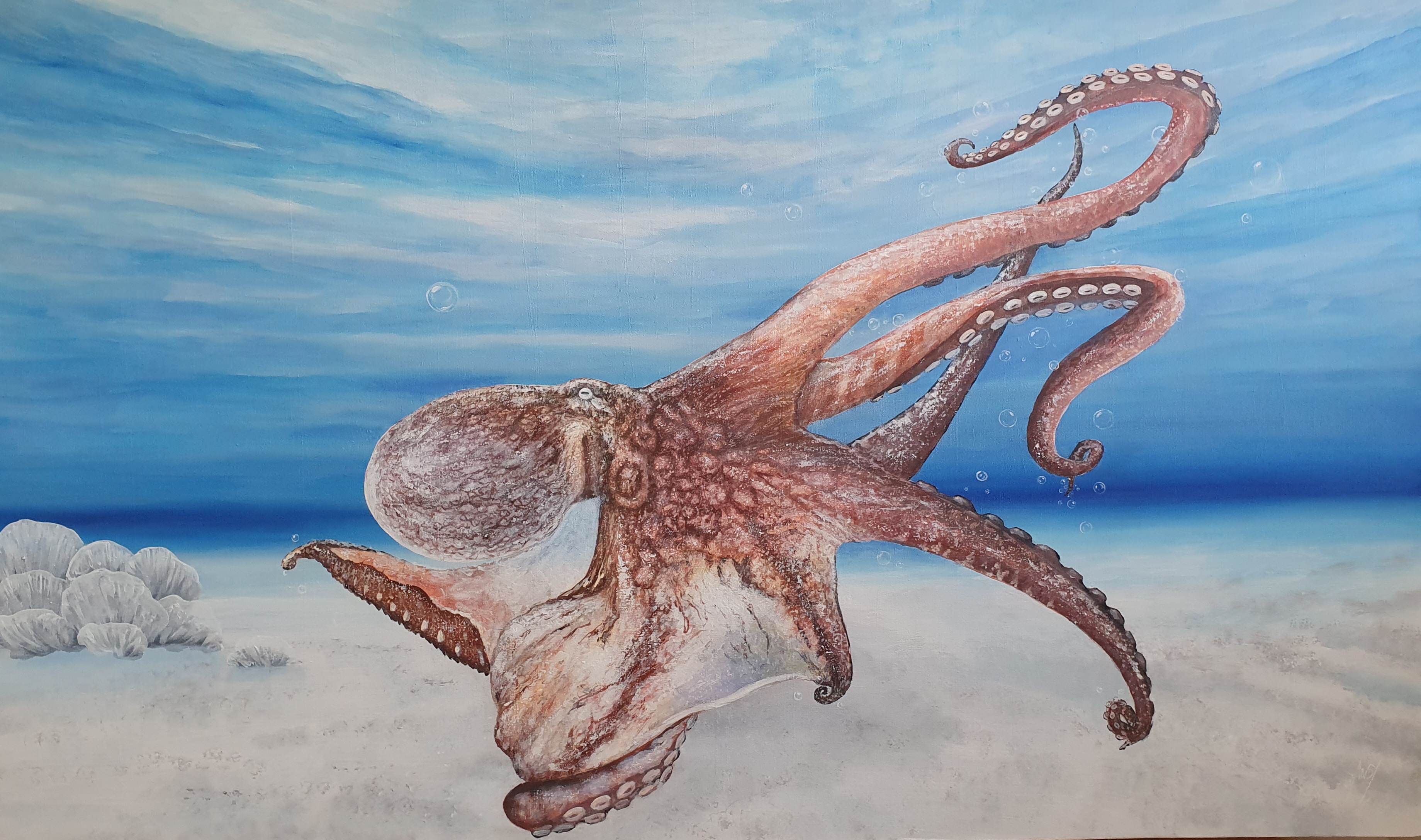 Octavian! by Andrew Berthelson - artwork of an octopus underwater