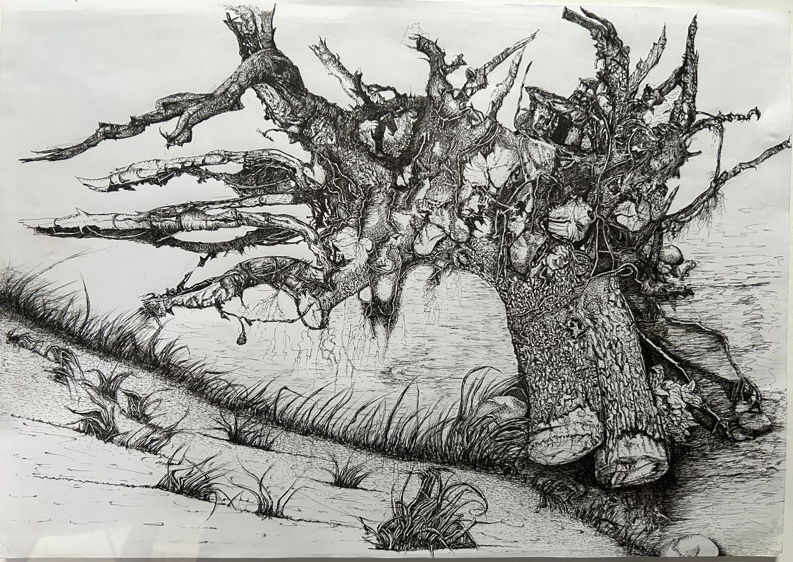 The last stand by Tryana Potgieter - detailed oak tree on riverbank