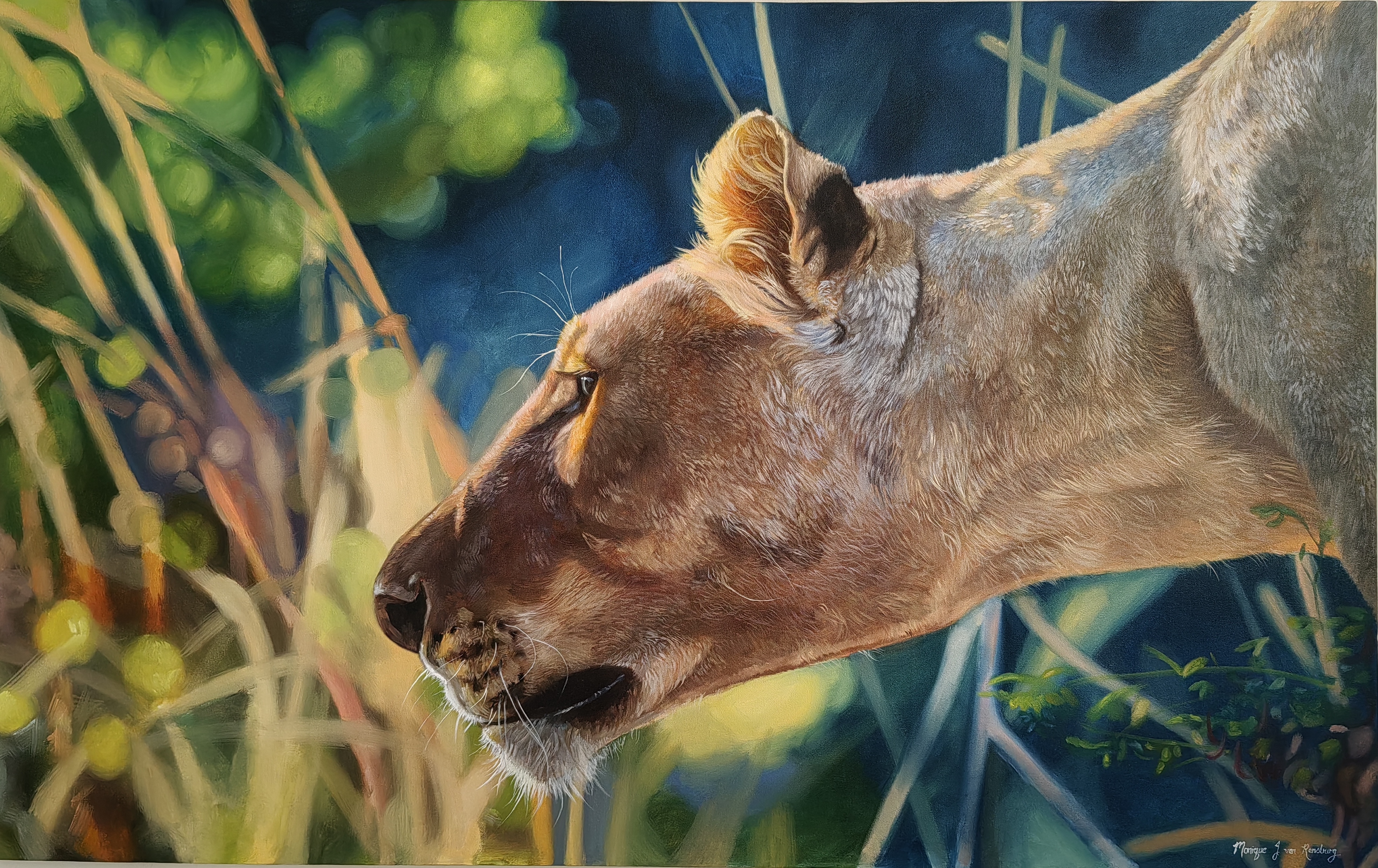 Focus by Monique Jansen van Rensburg, a lioness in a grassland
