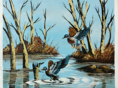 Flying Ducks Over Wetlands