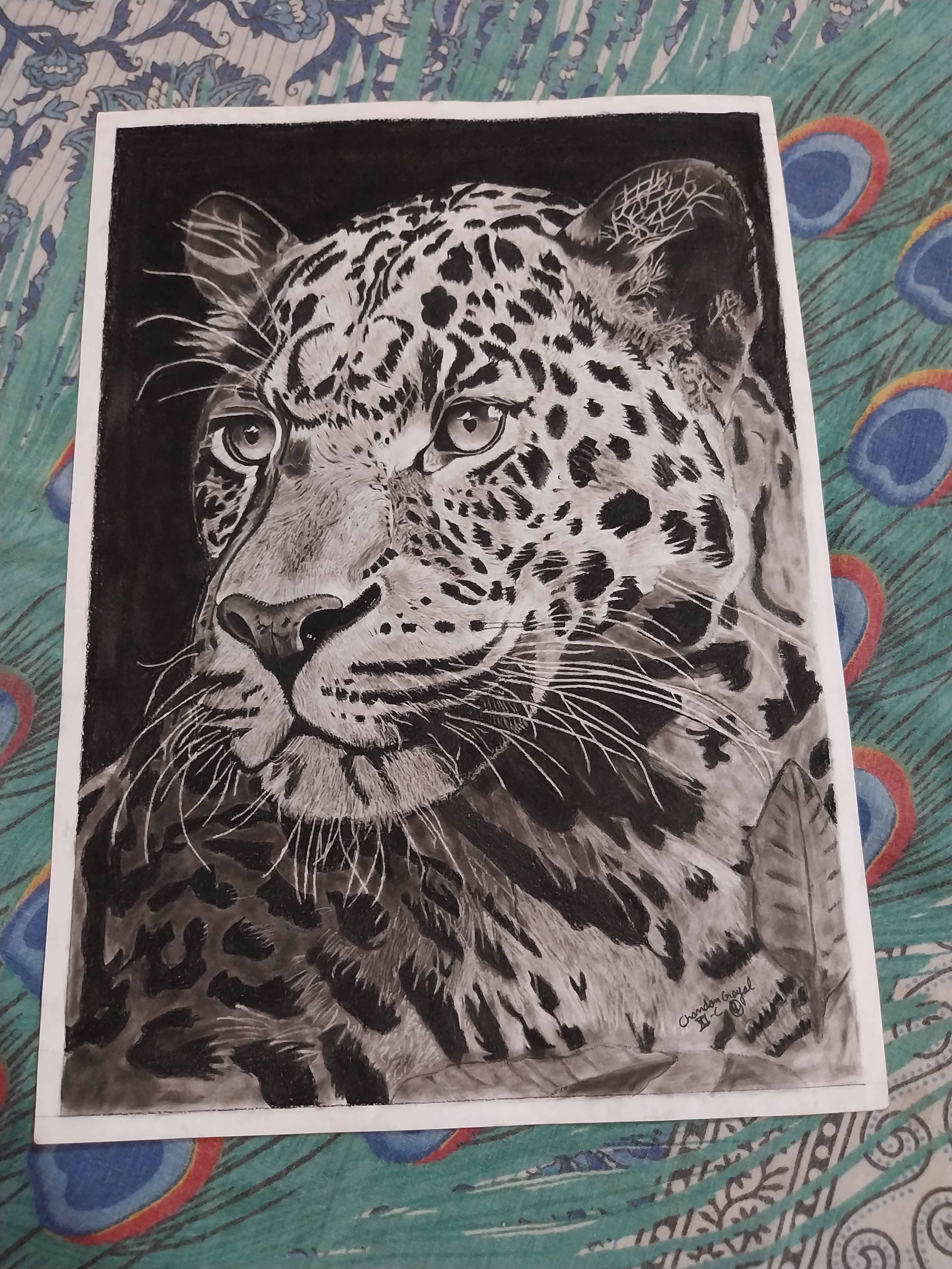 Shadow Walker by Chandan kumar goyal, detailed leopard portrait