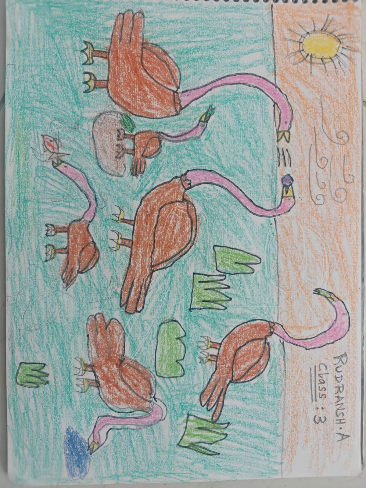 Family time by A.Rudransh, swans with pink necks and brown bodies against a transitioning sky