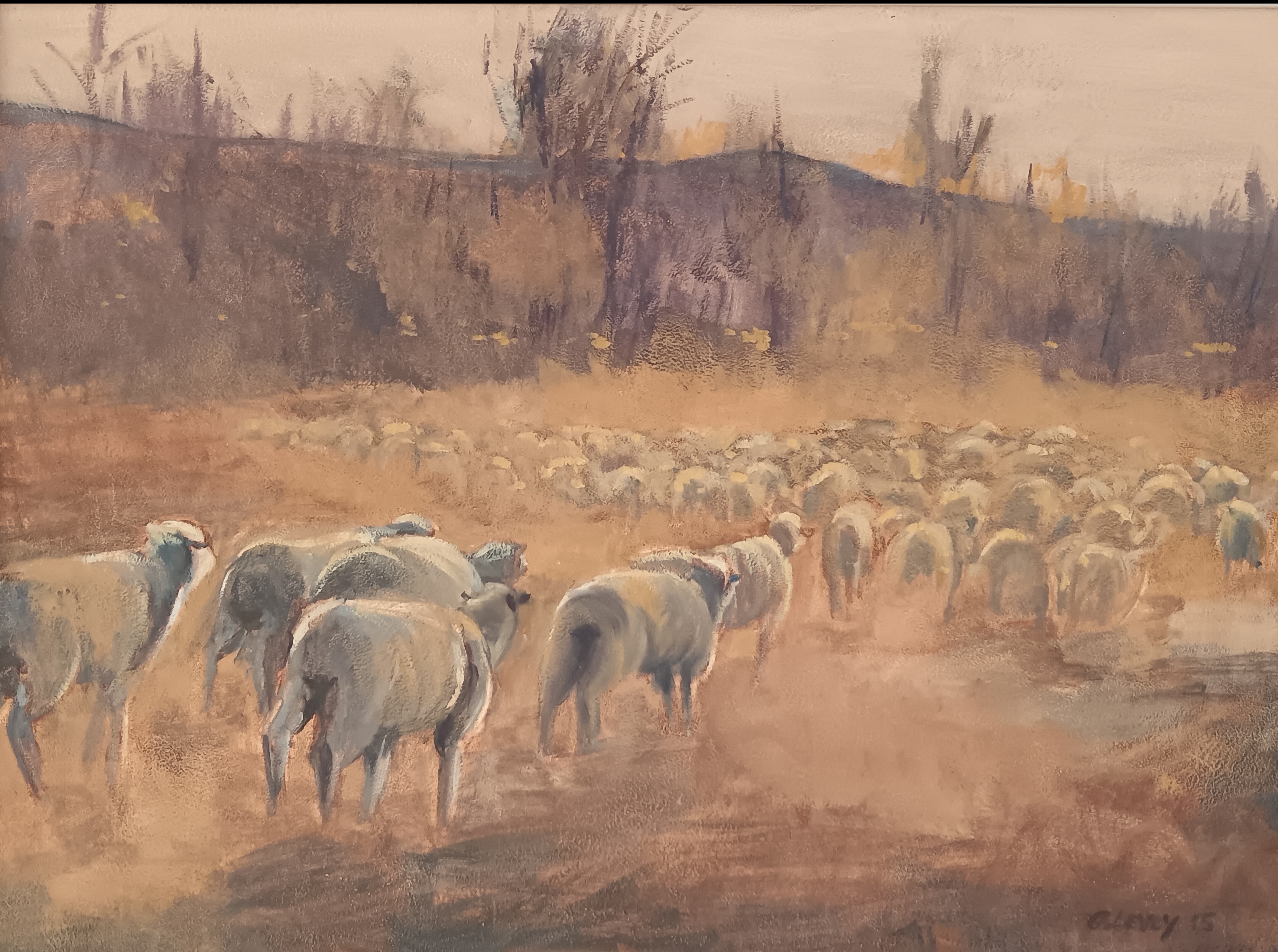 Flock sheep at sunset by Mandy Levey - a pastoral scene with sheep and sunset