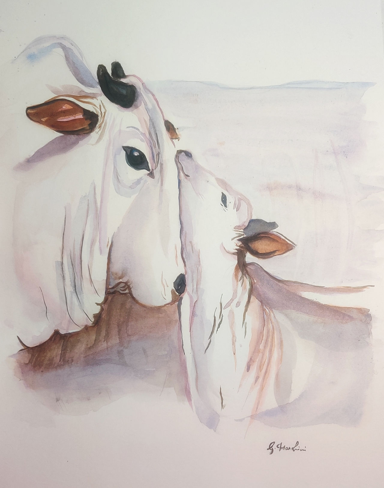 Watercolor art of cow and calf