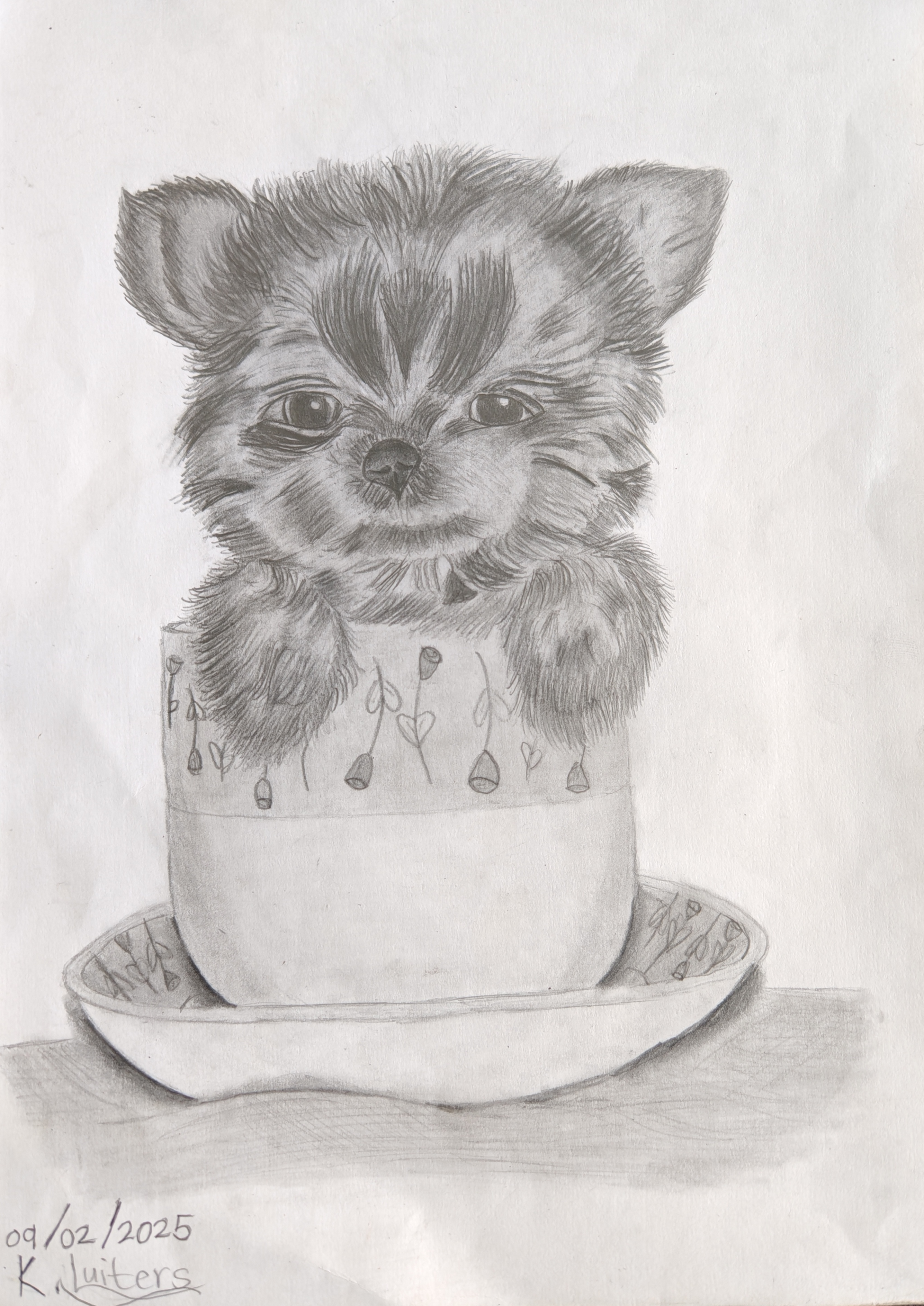 Teacup Yorkie by Kayla Luiters, detailed pencil drawing of a Yorkie in a teacup