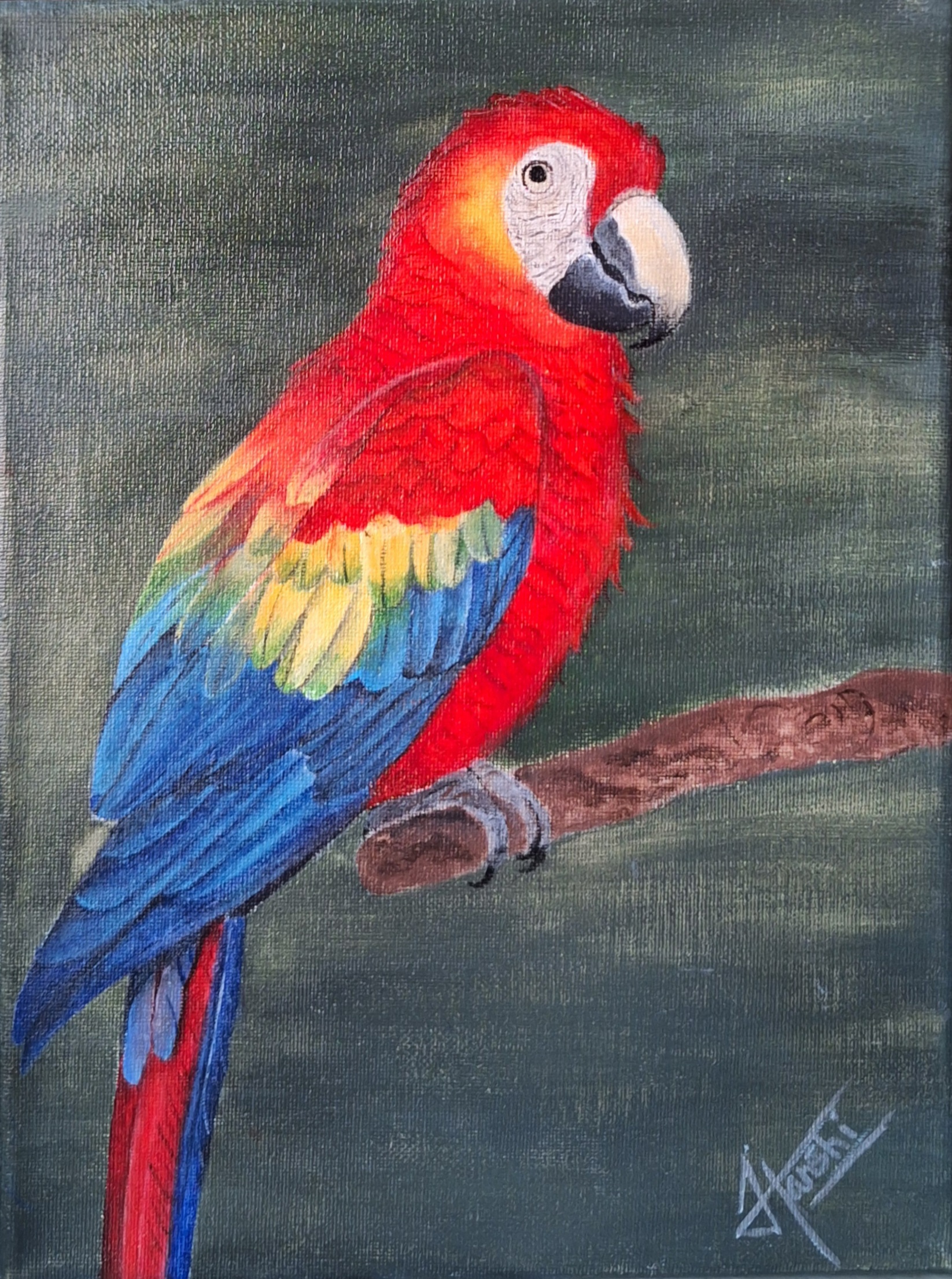 Scarlet macaw by Hanshika Raevynn Hudson Leo, vibrant macaw perched on a branch