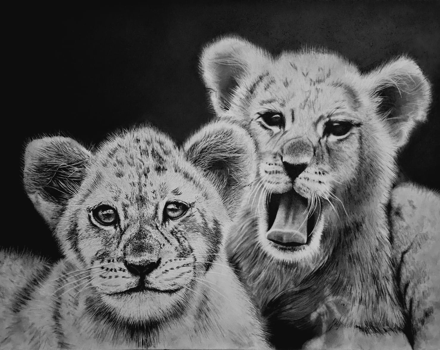 A Bond Beyond Words by Brenda van Zyl depicting lion cubs