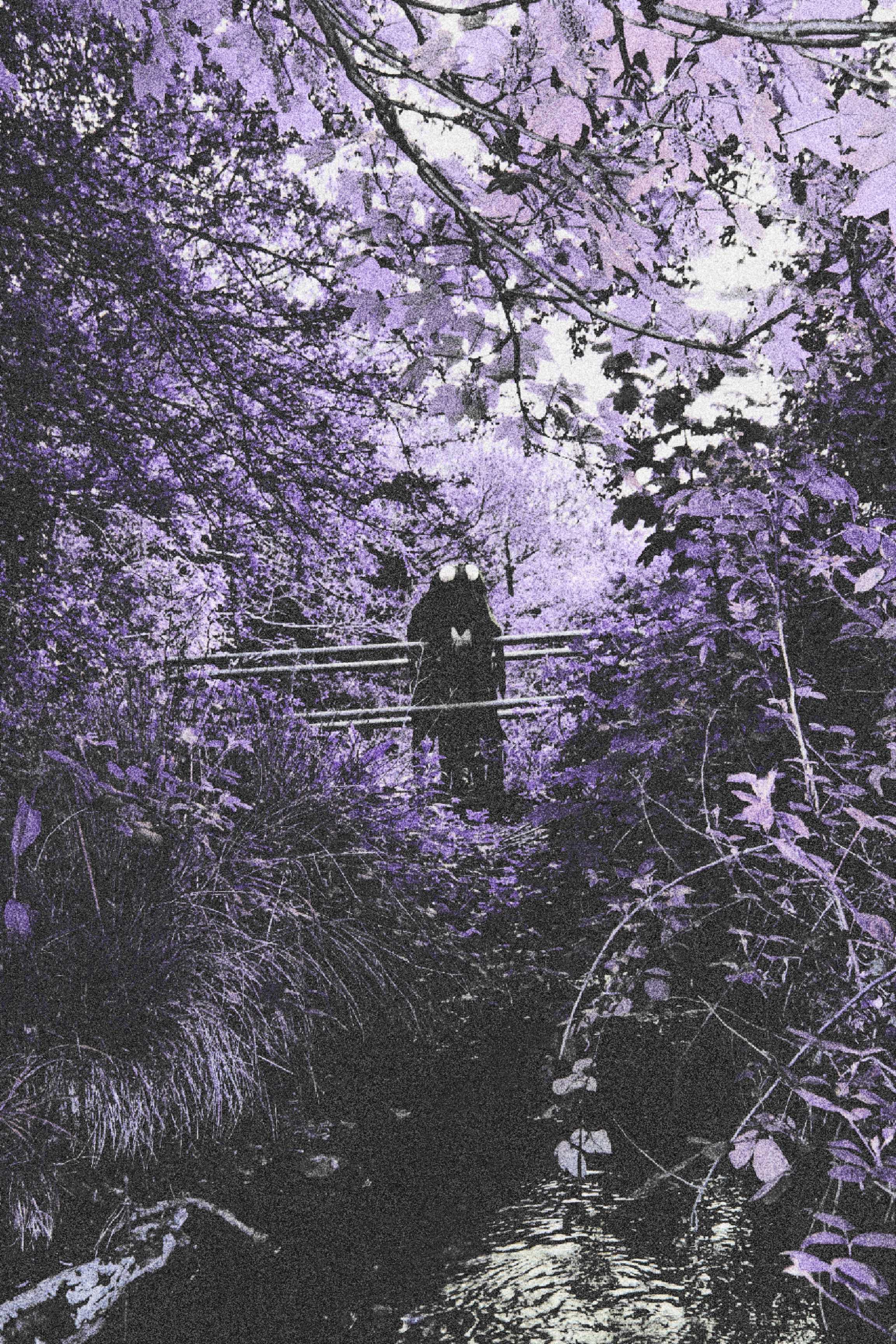 Is this it? by Eli Fisher, shadowed figure in dense purple foliage