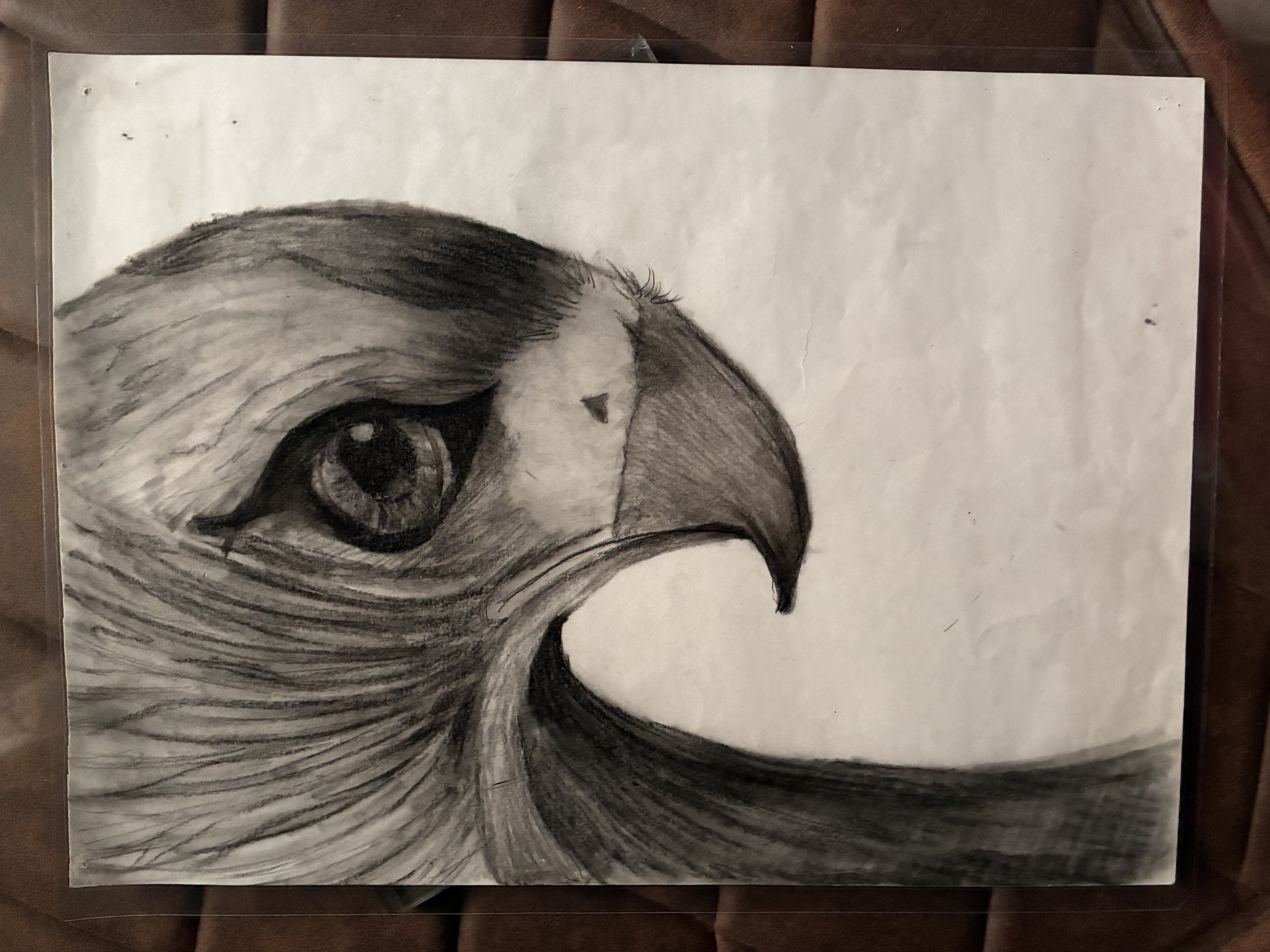 The Watchful Eye by Kashvi Gupta, featuring a detailed eagle's head close-up