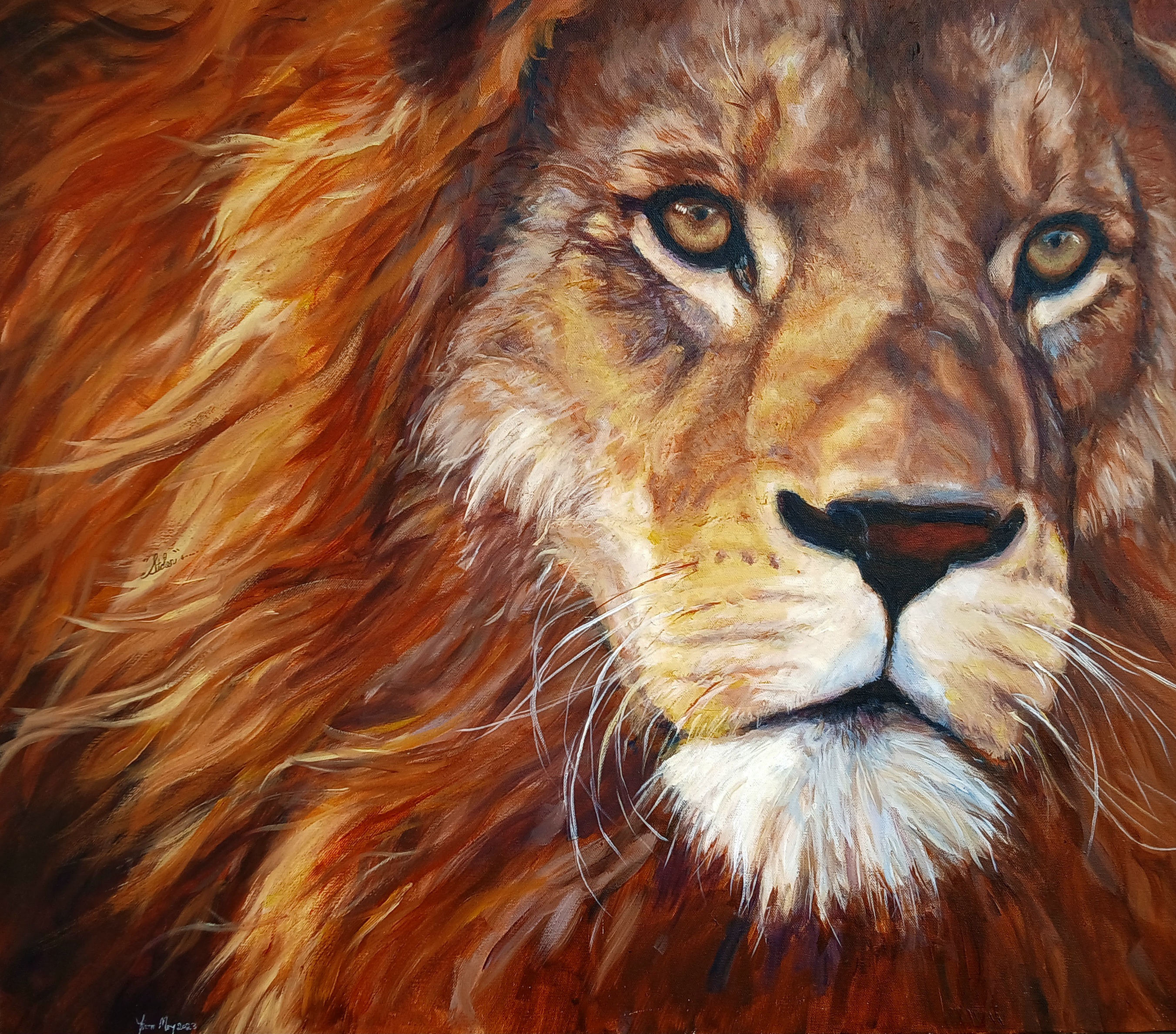 Stolen by Yvette Mey - close-up portrait of a lion with dynamic mane
