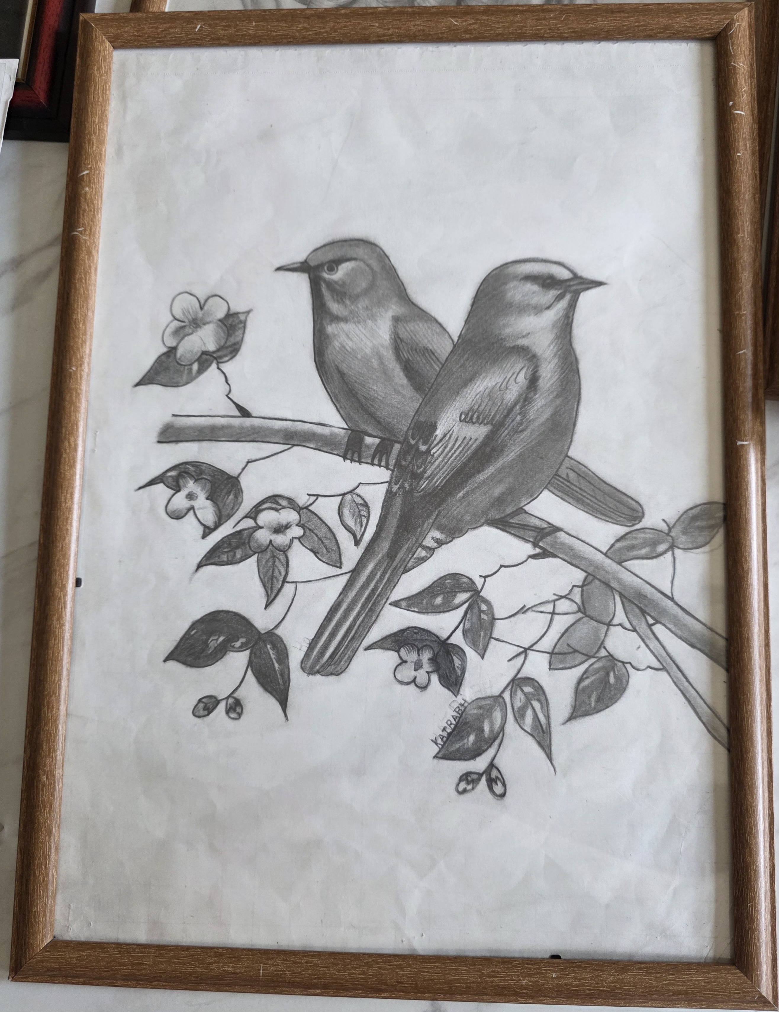 Quiet Harmony by Kairabh Kaware, detailed graphite drawing of songbirds