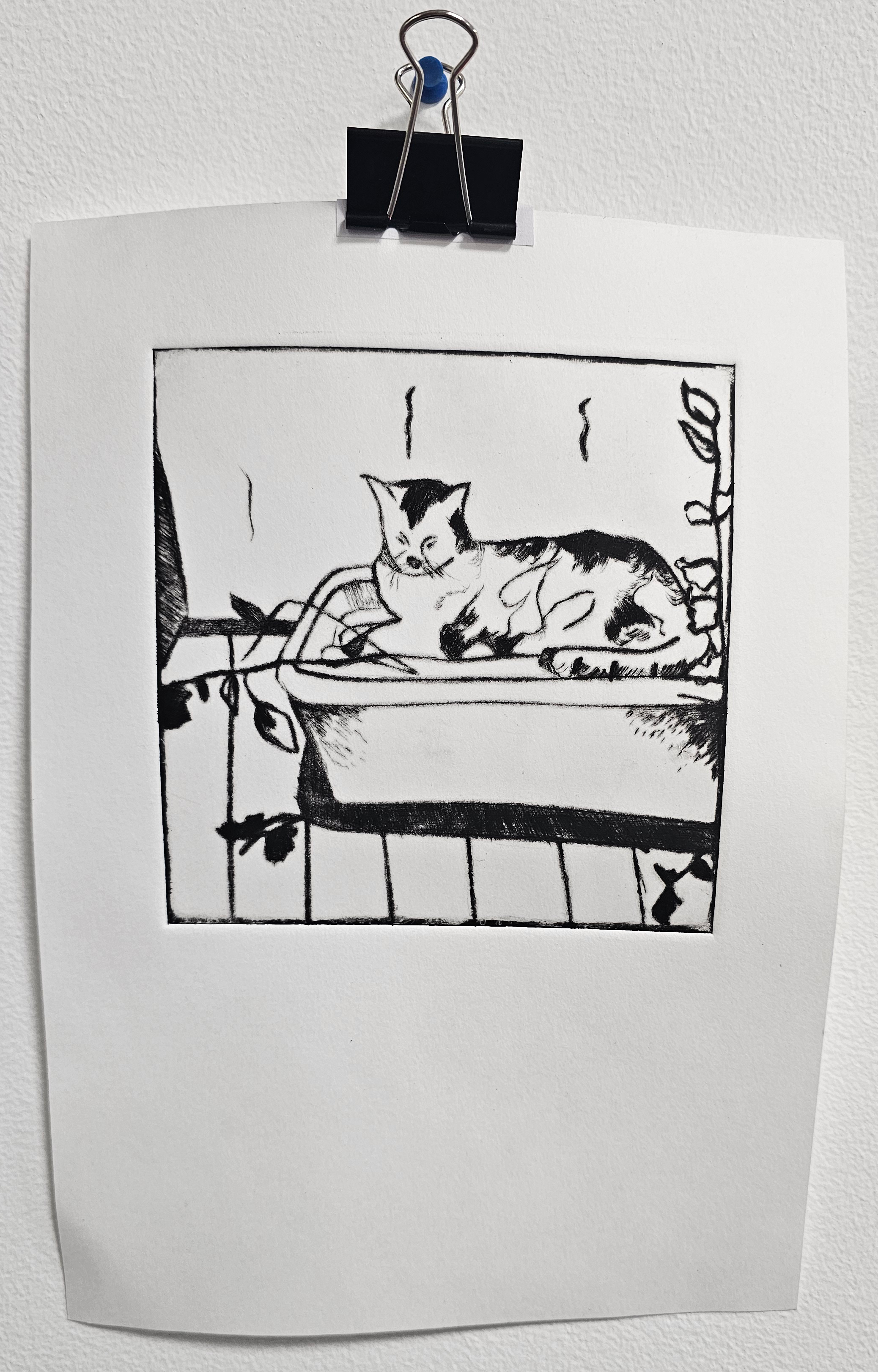 Sun by Wil Unser - black and white cat lounging on windowsill