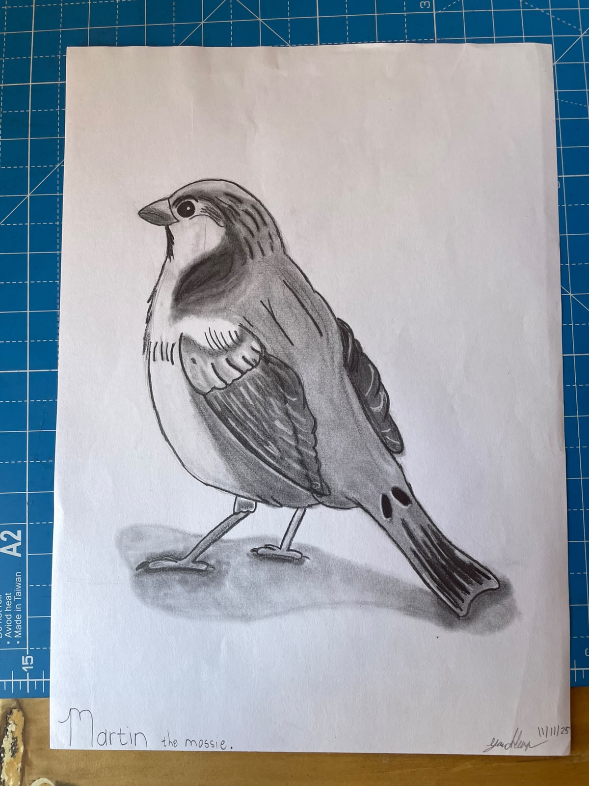 Martin The Mossie by Gillian van den Heever, bird on blue grid paper