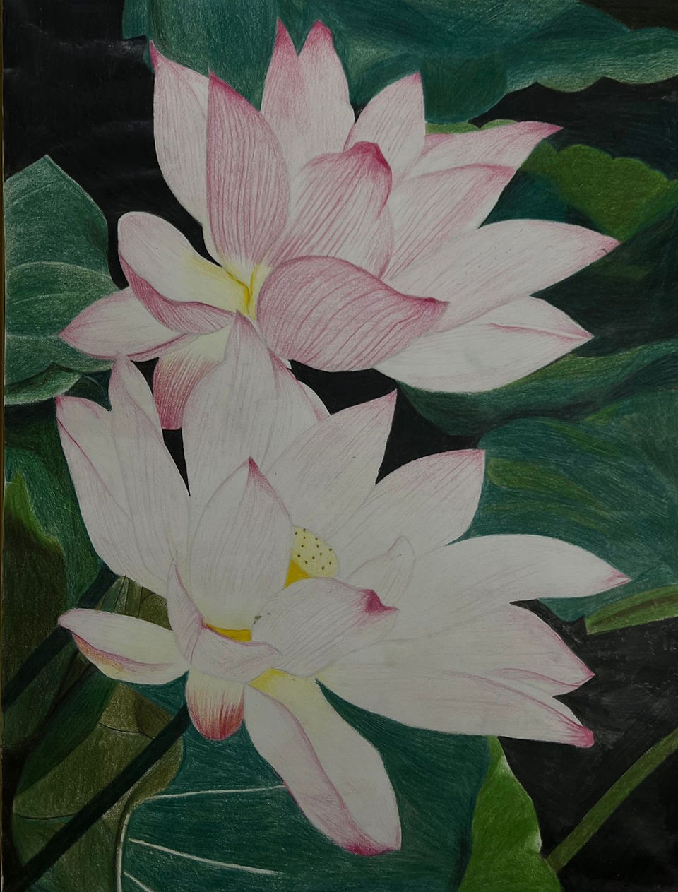 Colour Pencil Shading