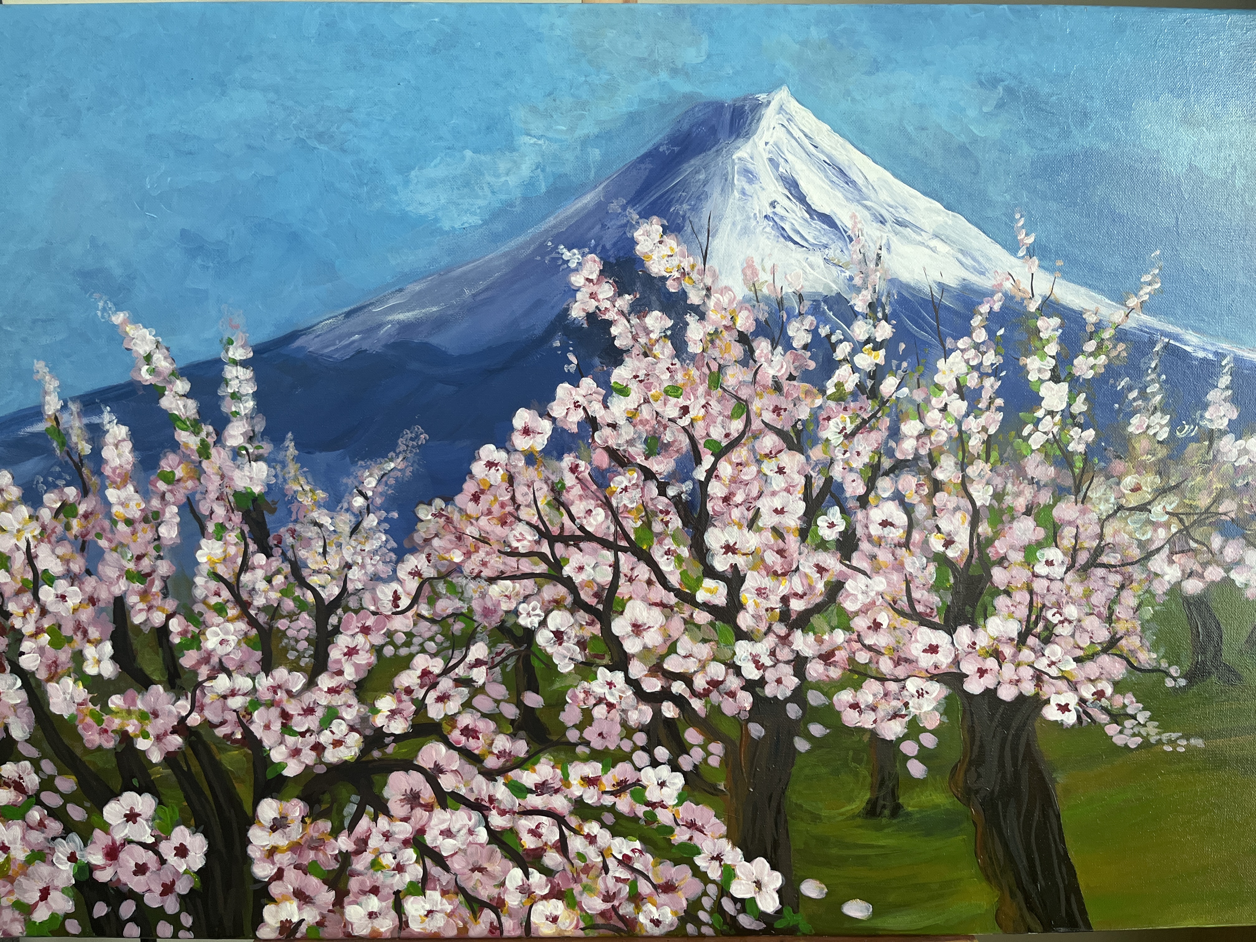 Colors of Japan by Anum Anwar Ali - Mount Fuji with cherry blossoms