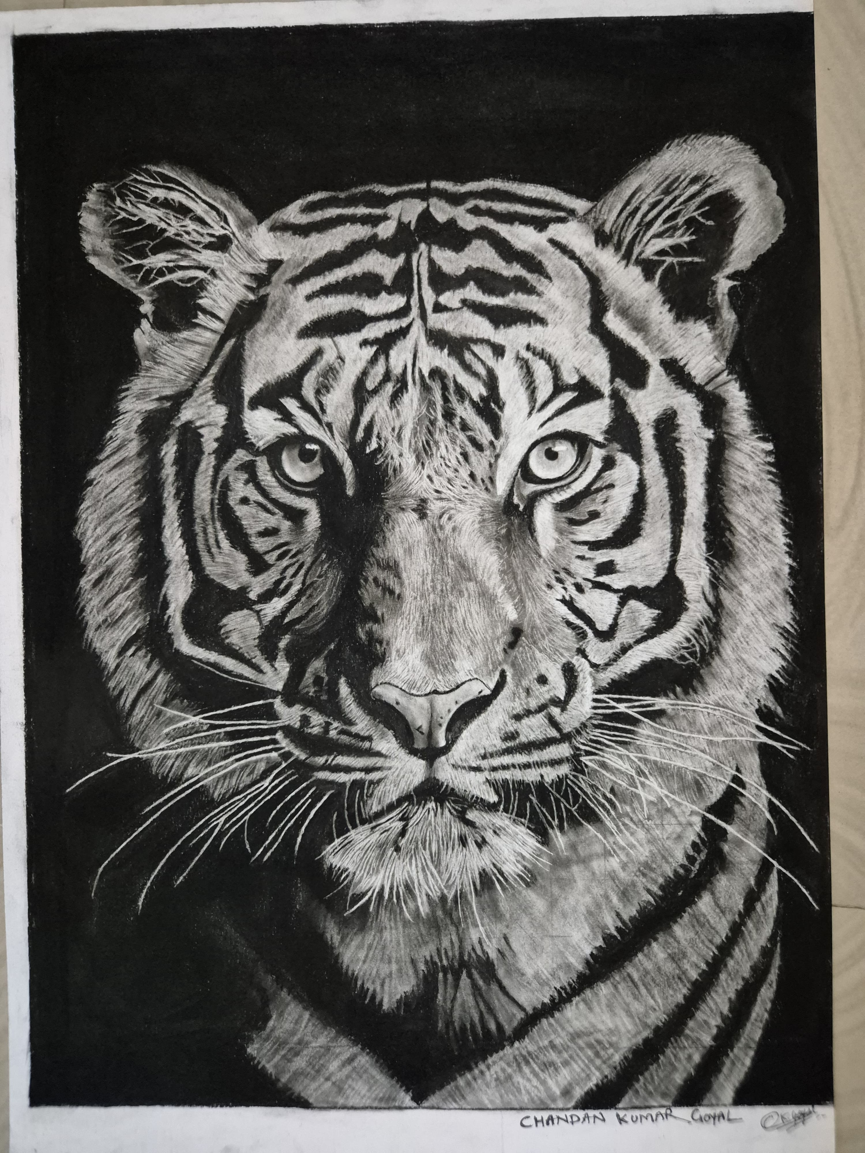 Silent Dominion by Chandan, realistic tiger face depiction