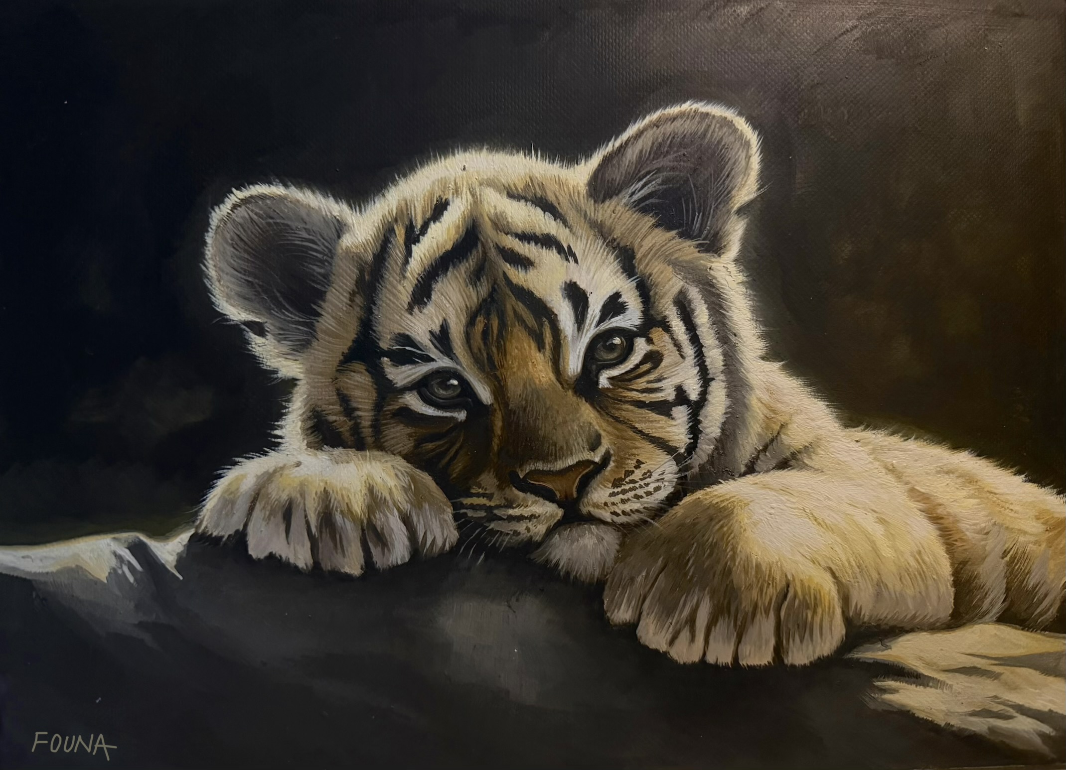 Tiger cub on a rock by Founa Ali - tiger cub lounging on rock