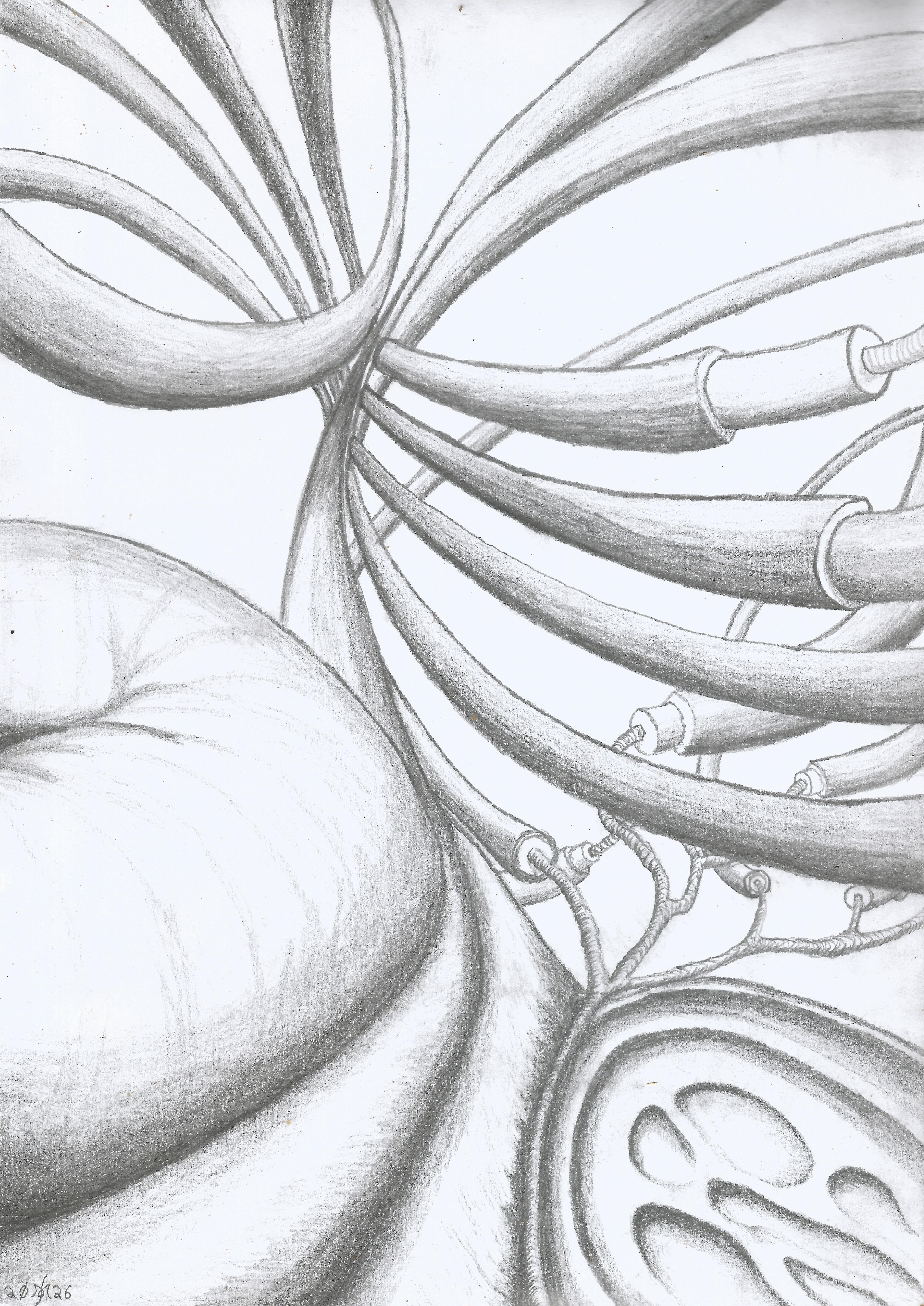 "Take a look inside" by Margaret Smith, intricate tubular and organic forms in pencil