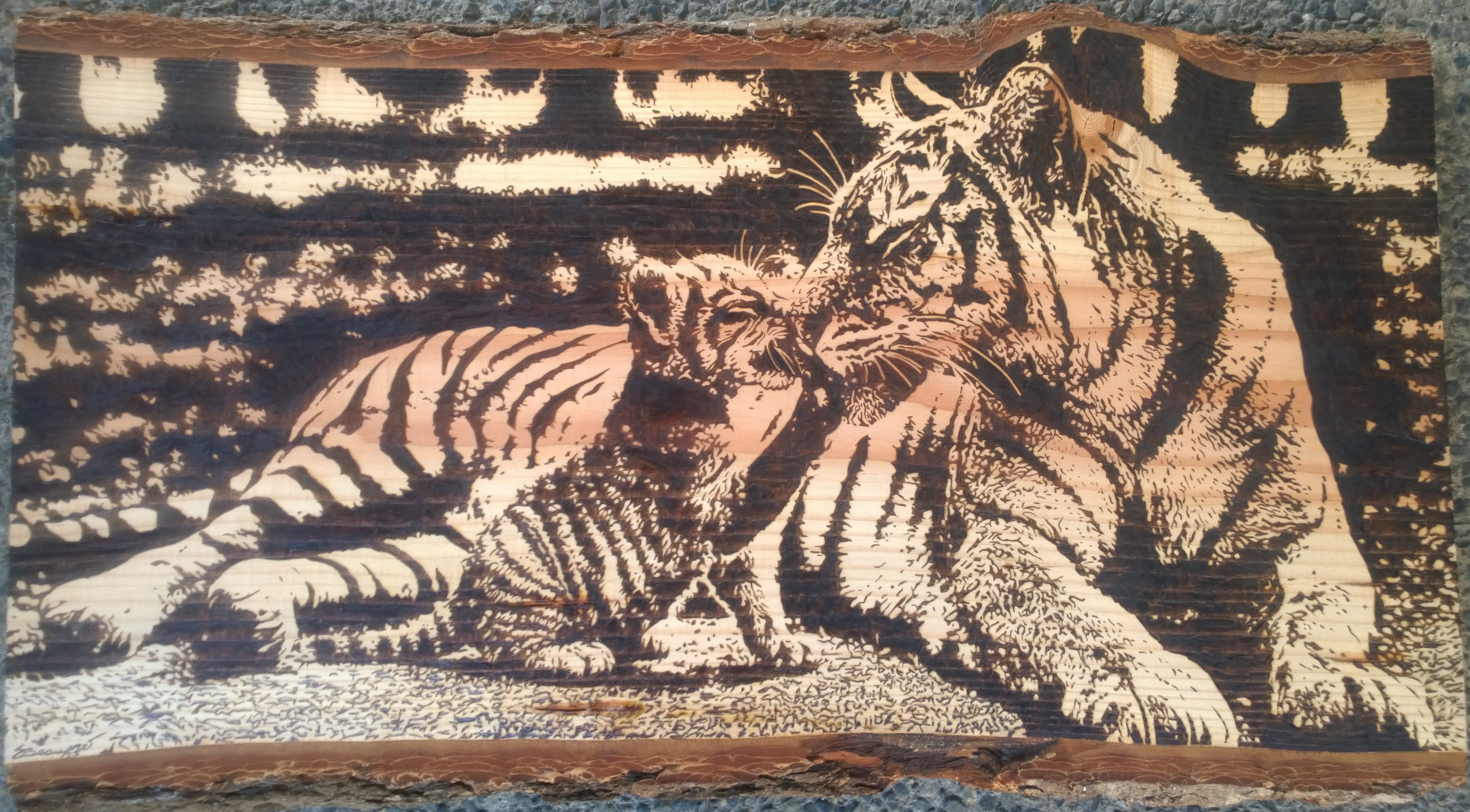 Mother Tiger and Cub by Scott Beaupre, depicting a tender moment between a mother tiger and her cub