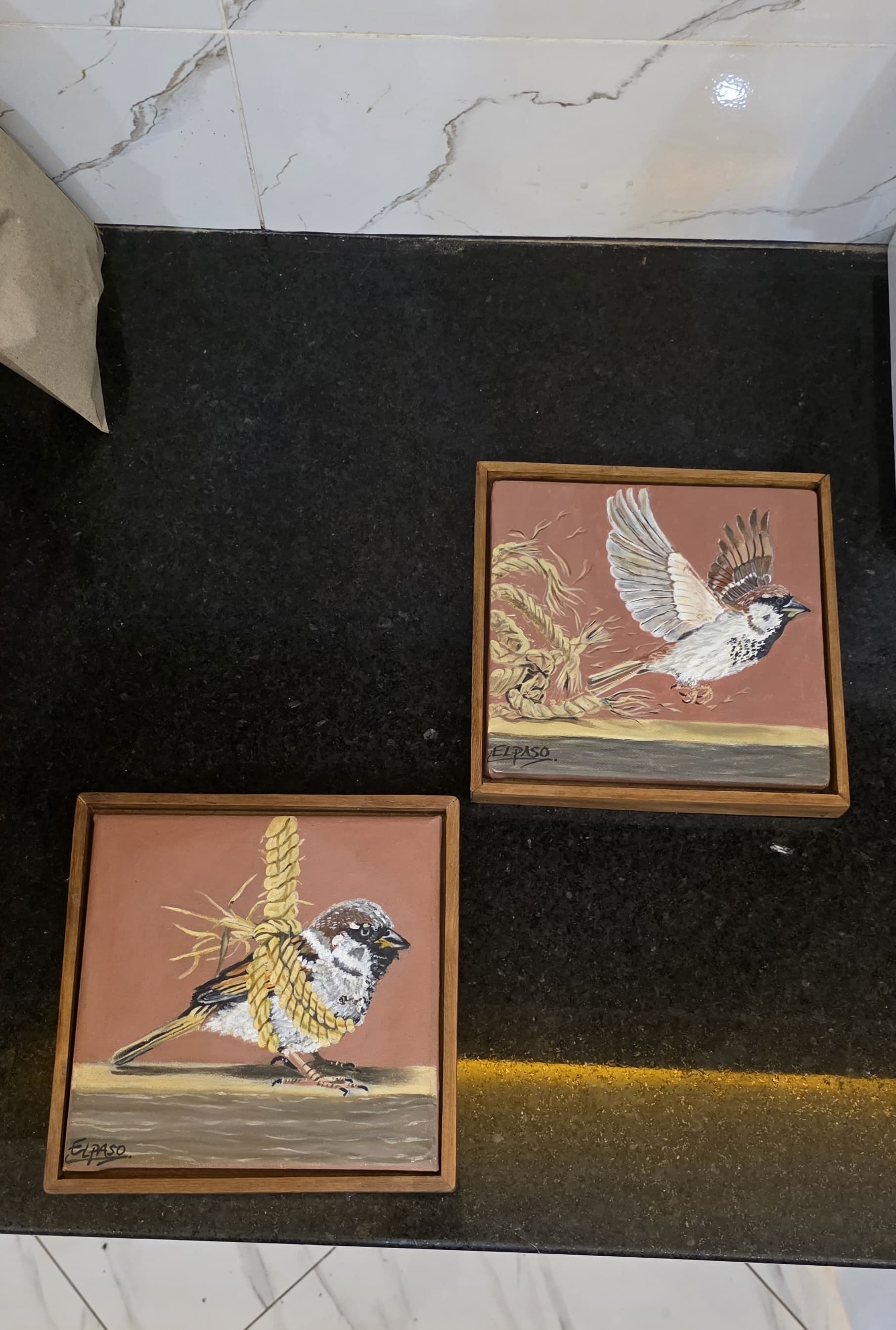 Bound yet free by Ramzan ali - two paintings of birds with ropes on brown background