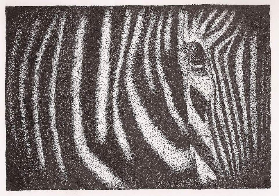 Hidden in Plain Sight by Nicole Kim Larsen, close-up zebra stripes