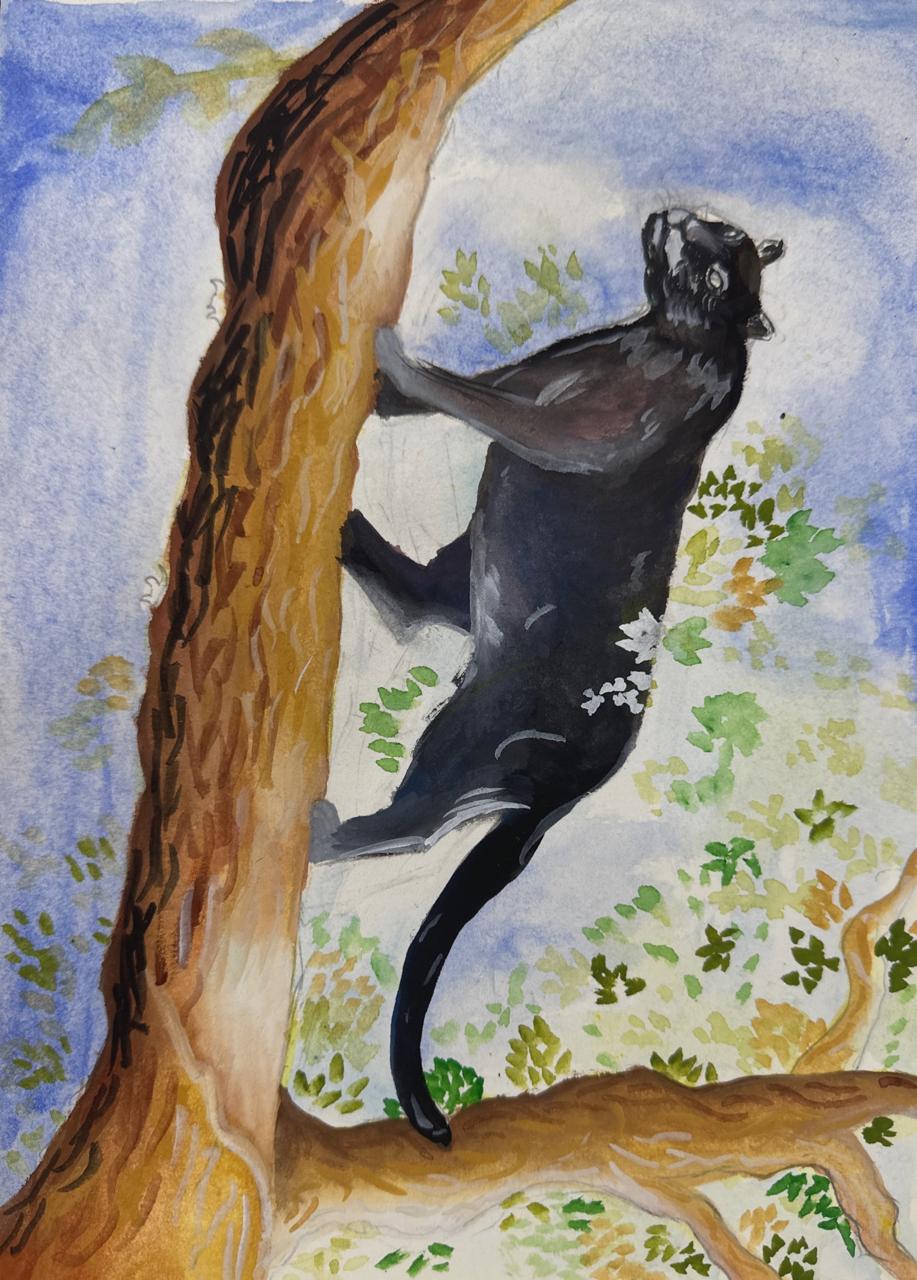 Grace of the Midnight Climber by Sharathvignesh Shenthilkumar, featuring a black panther climbing a tree