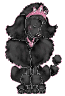 animated black poodle