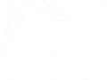 RUSCH_LaosTopos.png