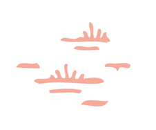 RPI_Site_Graphics_Prairie.png