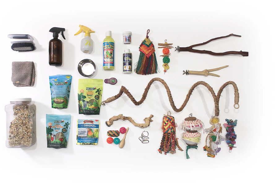 supplies parrotwell.jpg