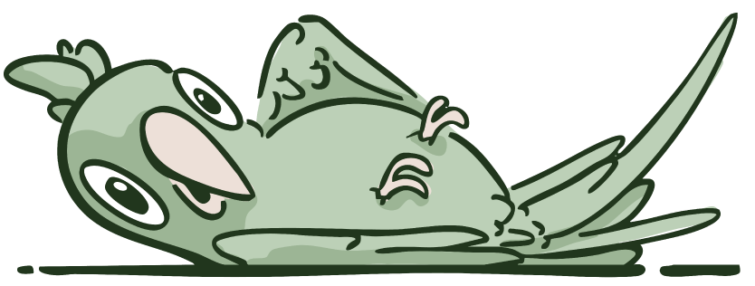 part 4_appt bird .png
