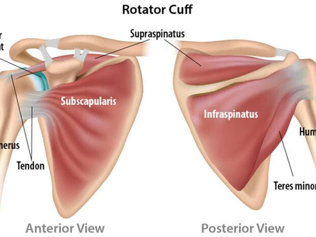 All You Need To Know About Rotator Cuff Injury