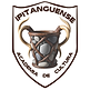 ACADEMIA IPITANGUENSE DE Artes, CULtuRA e história  (150 x 150 px) (8) (1).png