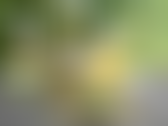 Cannabichromene (CBC): The Overlooked Cannabinoid You Should Know About