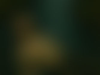 Gi inn... ikke gi opp.