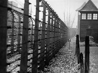 auschwitz_1.jpg
