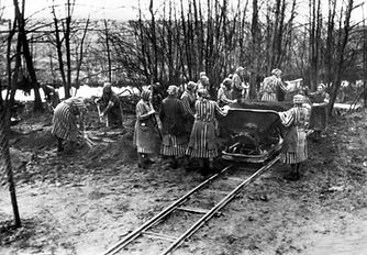 labor_orig.jpg