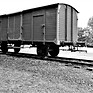 bergen-belsen-2380550_edited.jpg