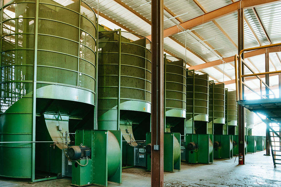 pecan bins