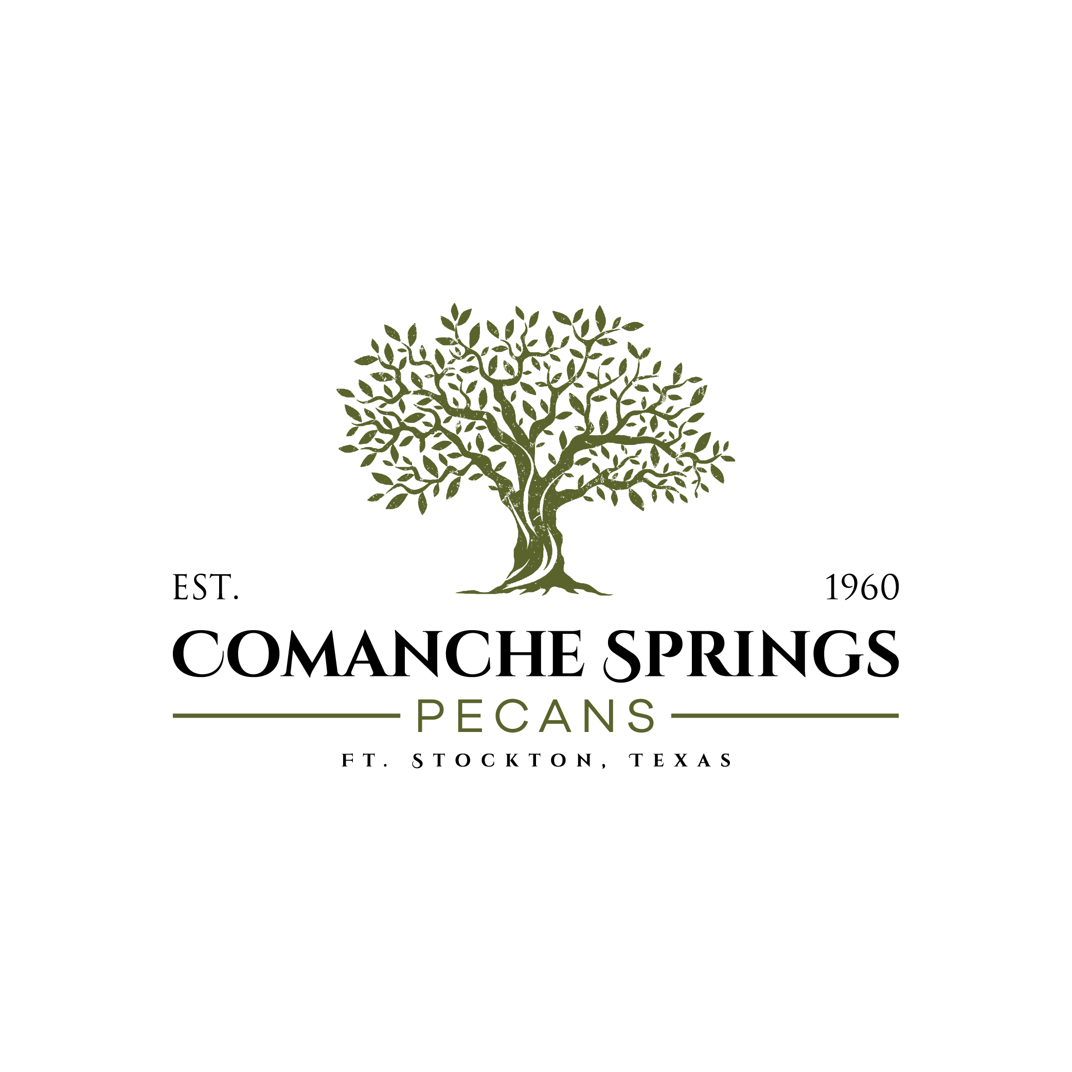 Comanche Springs Pecans logo