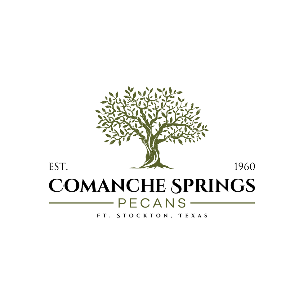 Comanche Springs logo