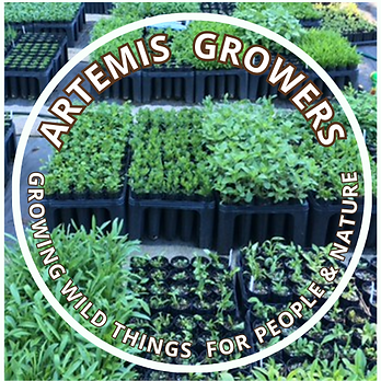 Artemis Growers