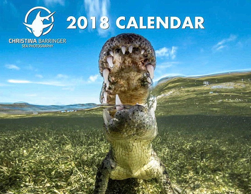 2018 Calendar