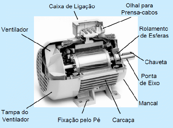 preview_html_687c03ac