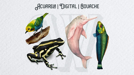 CLASES PERSONALIZADAS.jpg