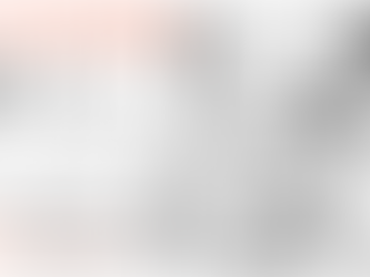 Neue PARTNER gesucht